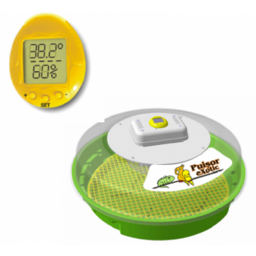Incubator de oua puisor exotic