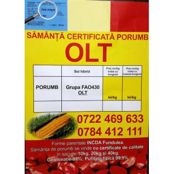 Porumb romanesc Olt Fundulea