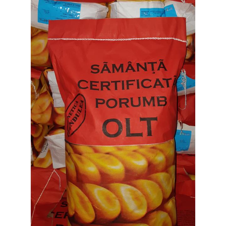 Samanta porumb Olt