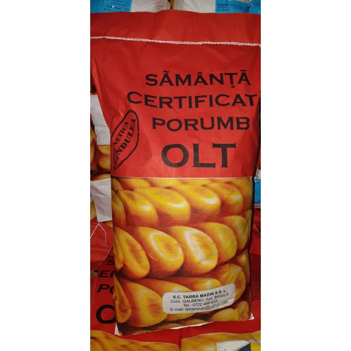 Samanta porumb romanesc hibrid Olt 2018