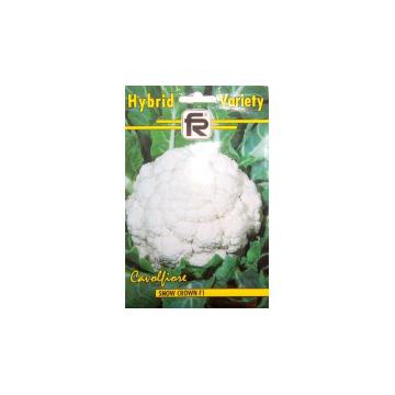 Seminte de conopida Snow Crown F1