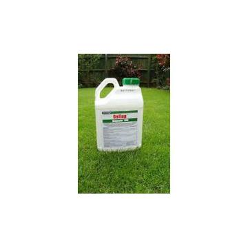 Erbicid Gallup 360, 1 L