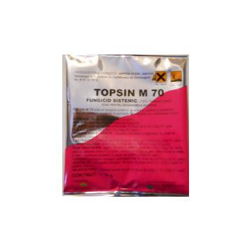Fungicid Topsin 70 WDG (10 grame)