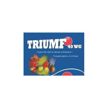 Fungicid Triumf 40 WG (25 grame)
