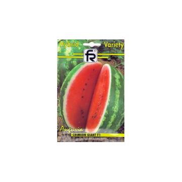 Seminte pepene rosu Crimson Giant F1