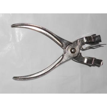 Cleste tatuat iepuri