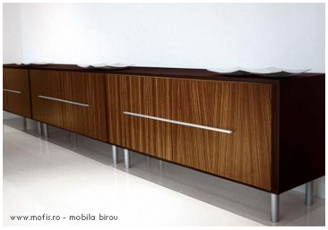 Birouri directoriale