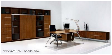 Birouri directoriale