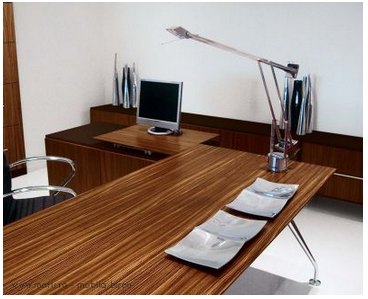 Birouri directoriale