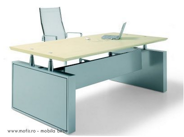 Birouri directoriale