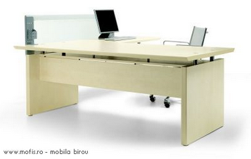 Birouri directoriale