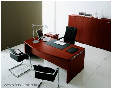 Birouri directoriale