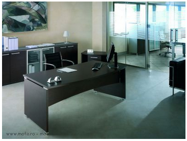 Birouri directoriale