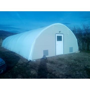 Solar tunel pentru ciuperci Pleurotus