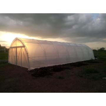 Solarii agricole Profi 6 - 6x20m