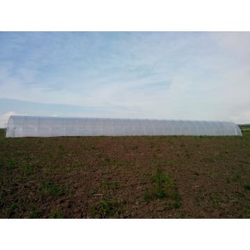 Solarii cu folie dubla-tunel