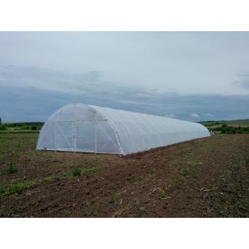 Solarii legume cu folie dubla