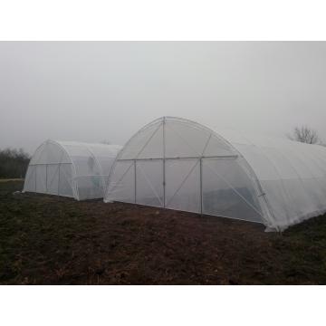Solarii legume cu folie dubla 90 microni