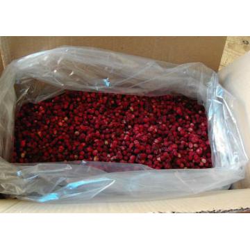 Fragute de padure Fragaria Vesca