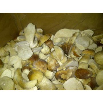 Hribi congelati jumatati