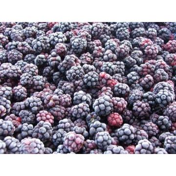 Mure Rubus fructicosus