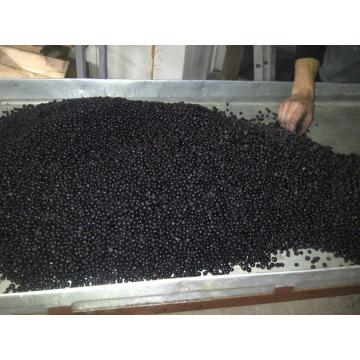 Afine Mirtillo Nero Blueberry