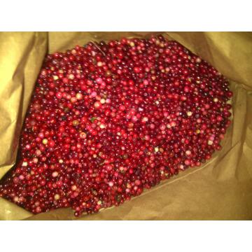 Afine rosii, merisoare Vaccinium vitis-idaea