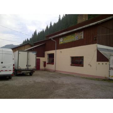 Ciuperci de padure Funghi di bosco