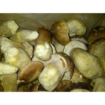 Hribi congelati Boletus Edulis