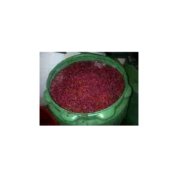 Zmeura de padure Rubus idaeus