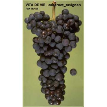 Butasi vita de vie, pentru masa sau vin