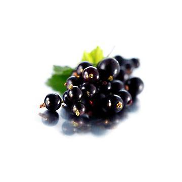 Coacaz negru si rosu