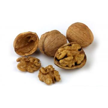 Puieti nuci, aluni, pomi fructiferi