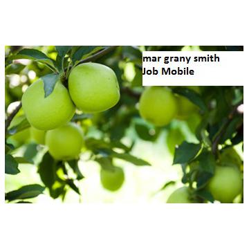 Puiet de mar Grany Smith, Florina, Patul