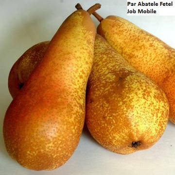 Puieti de par Abatele, Fetel