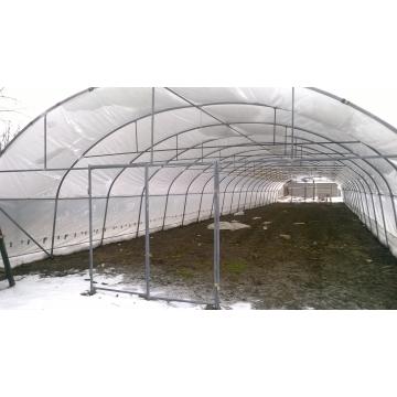 Solar tunel de legume profesional