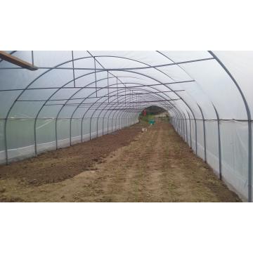 Solarii legume cu pereti verticali
