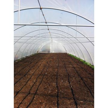 Solarii pentru legume si flori - ventilatie laterala