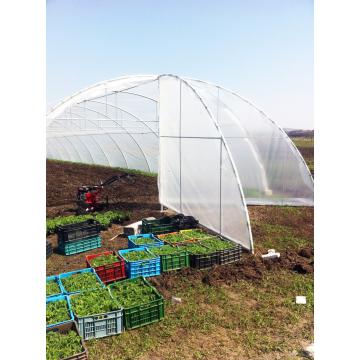 Solarii pentru legume - ventilatii pe capete si lateral