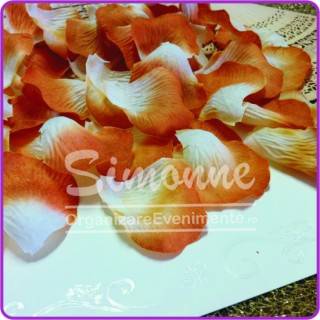 Accesorii decor