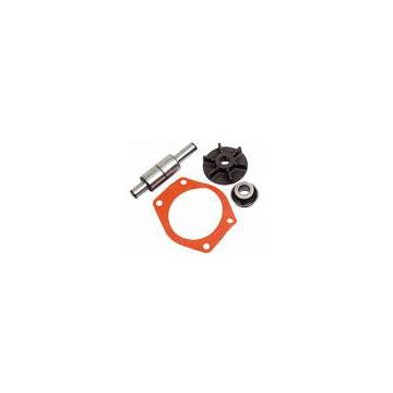 Kit reparatie pompa de apa 3641392M91 Massey Ferguson