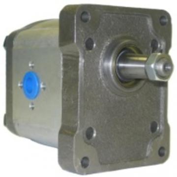 Pompa hidraulica tractoare Fiat 5179719