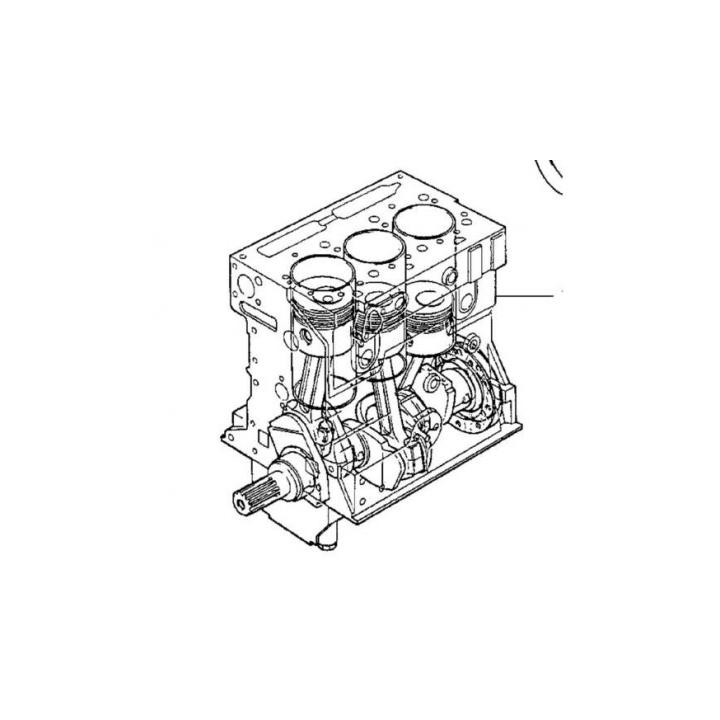Bloc motor Perkins pentru tractoare Landini