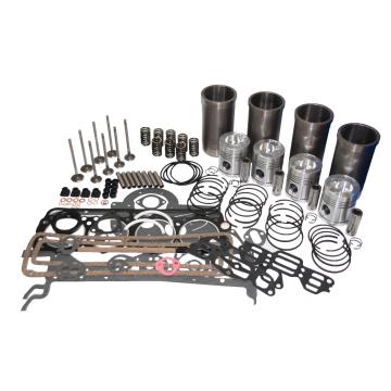 Kit reparatie motor AD4.203 tractor Landini