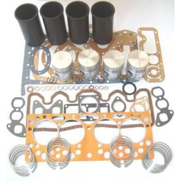 Kit reparatie motor BSD333 New Holland
