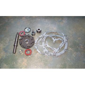 Kit reparatie pompa de apa Tractor Landini