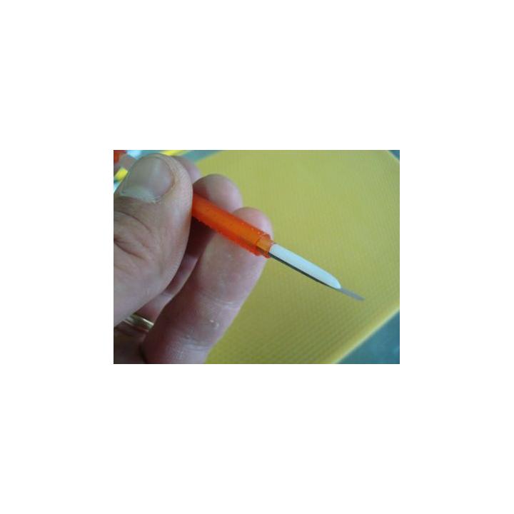 Accesoriu apicultura Picking transvazare