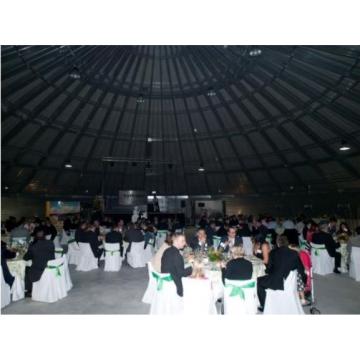 Silozuri metalice speciale