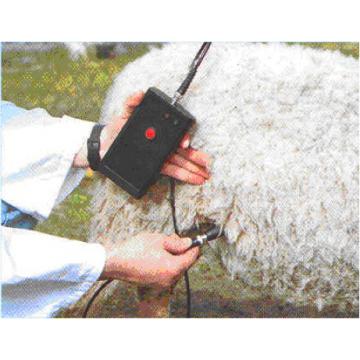 Detector de sarcina cu ultrasunete pentru oi si capre - PDs