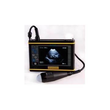 Ecograf cu sonda abdominala pentru caini Dogscan - DS.A